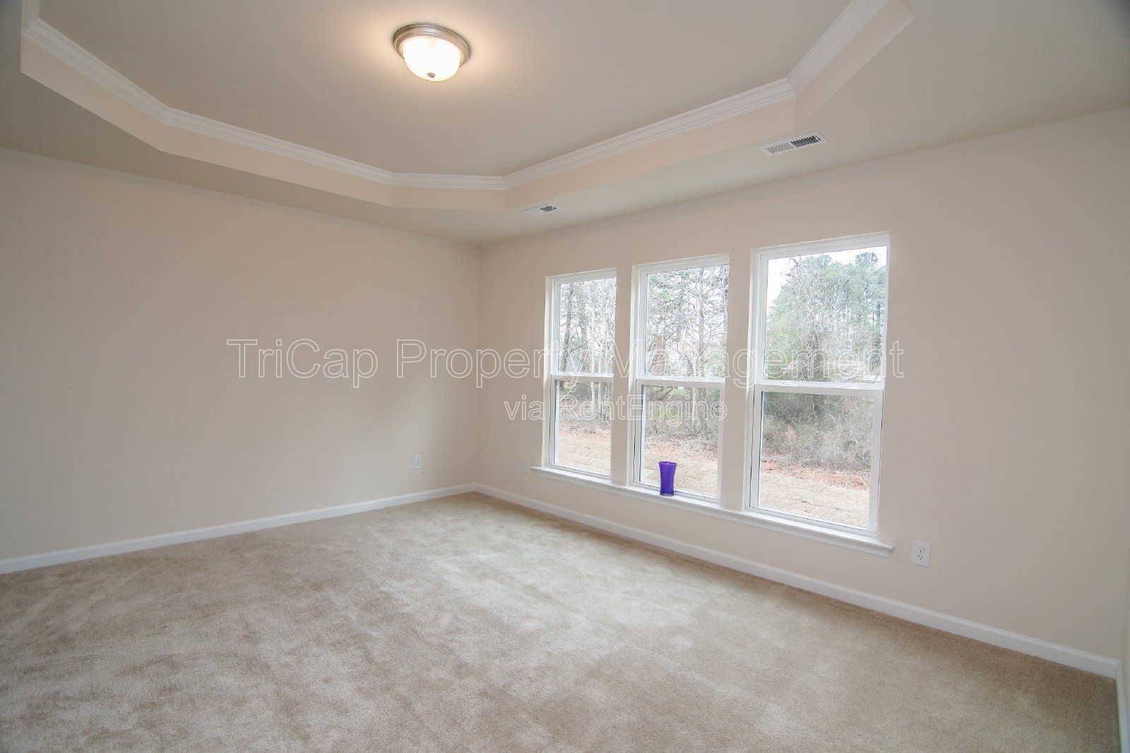 3 Bedroom Townhome with Garage in Garner property image