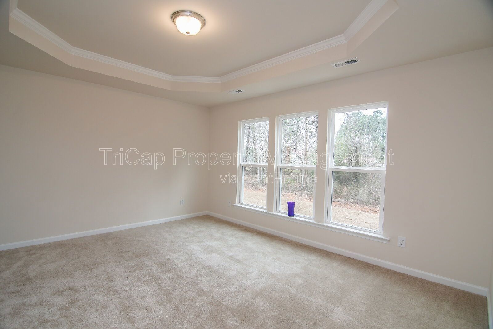 Garner Townhome Move In Ready property image