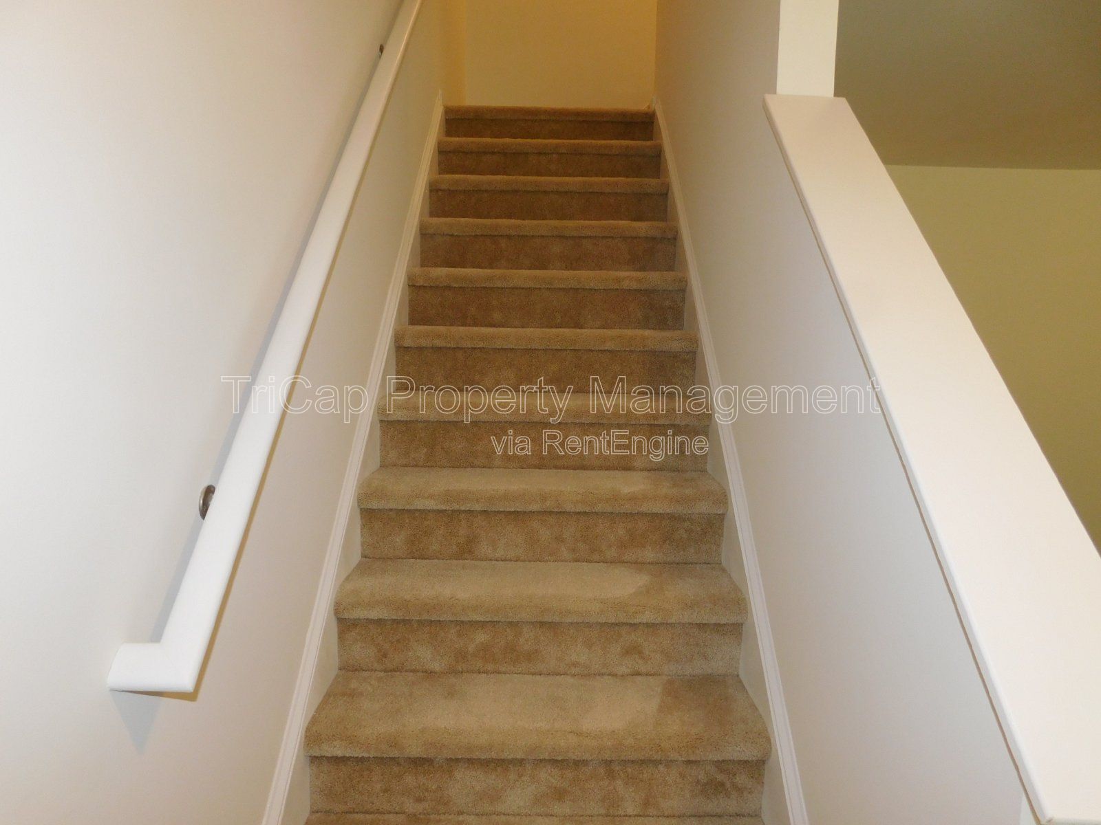 3 Bedroom Raleigh Townhome in Fieldstone Crossing property image