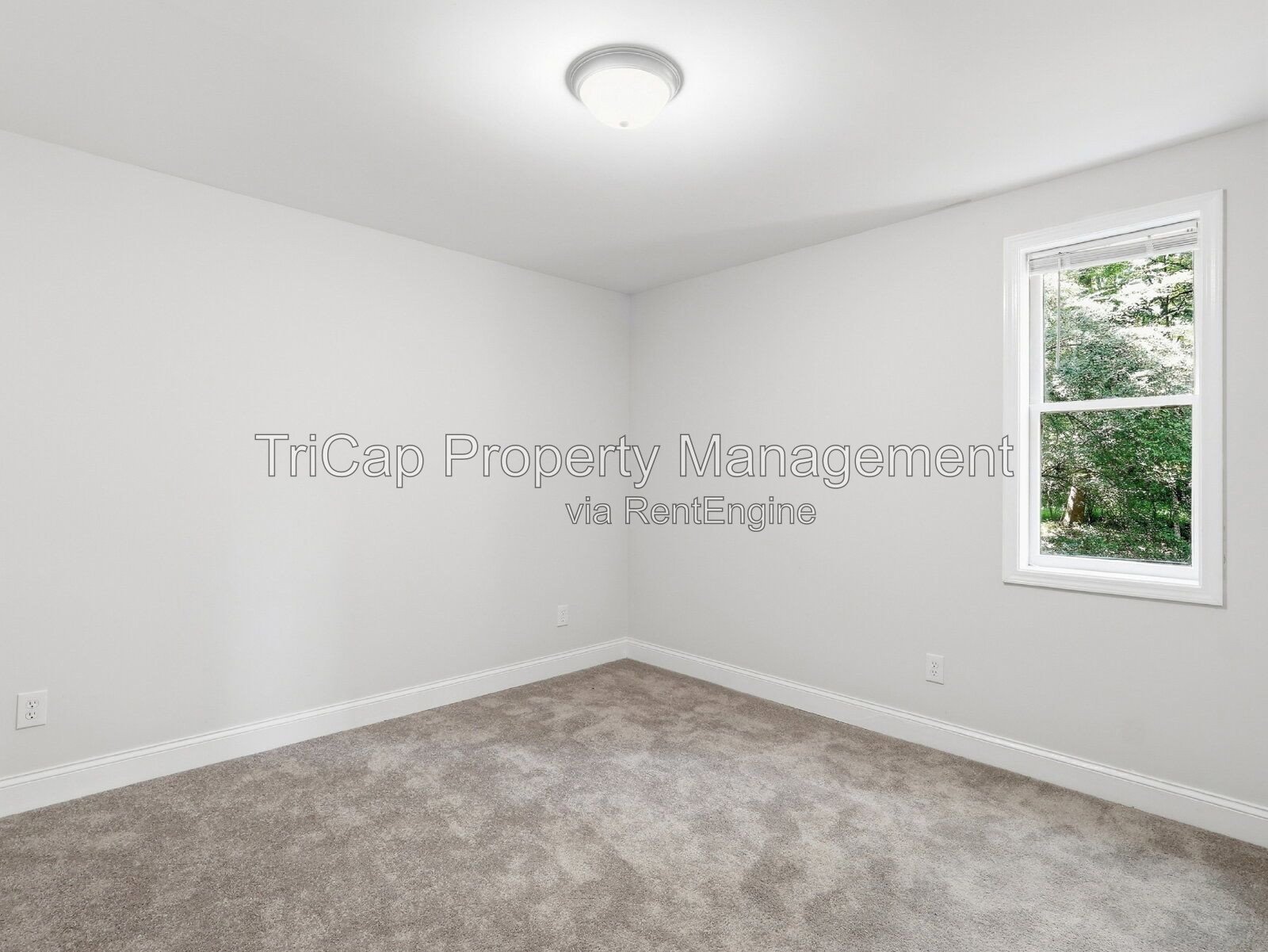 Adorable Home in mid-town Raleigh property image